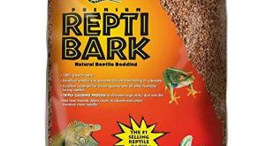 Reptilien Bodensubstrat Test