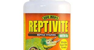 Reptilien Vitamine Test