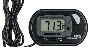 Aquarium Thermometer Test