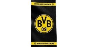 BVB Badetuch Test