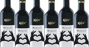 Merlot Wein Test