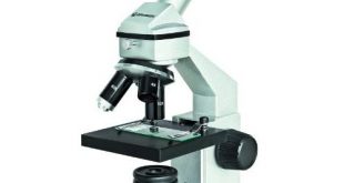 Mikroskop Test